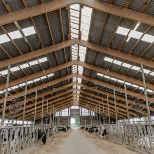 Värvimata eterniit laineplaat Eternit Agro XL 2500x1130 mm - Image 4