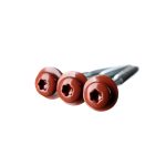 Isepuuriva otsaga Eternit laineplaadi kruvid 6,0 x 100 mm tumepunane, 100 tk